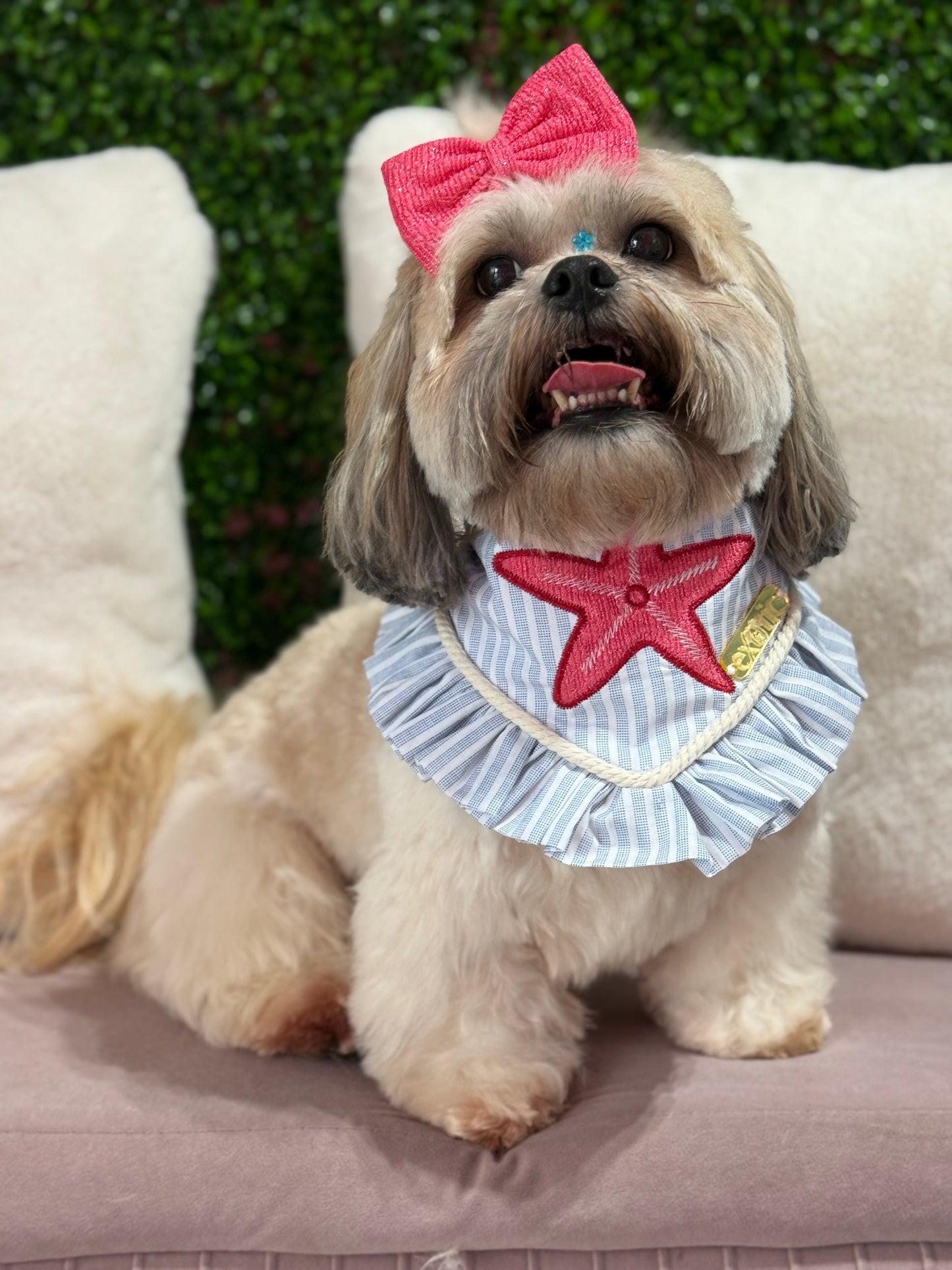 Starfish Bandana with ruffles
