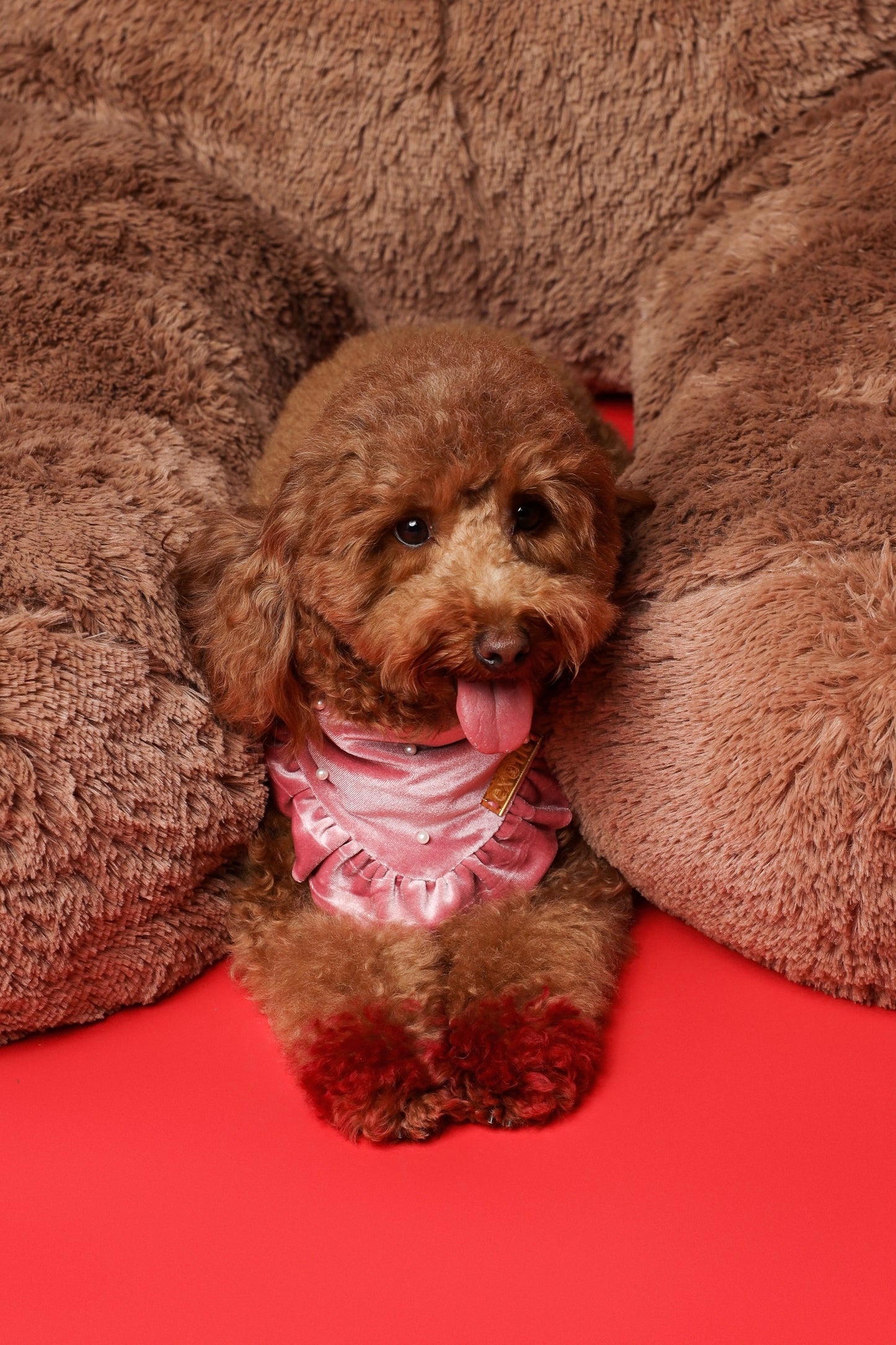 Cotton Pink Bandana