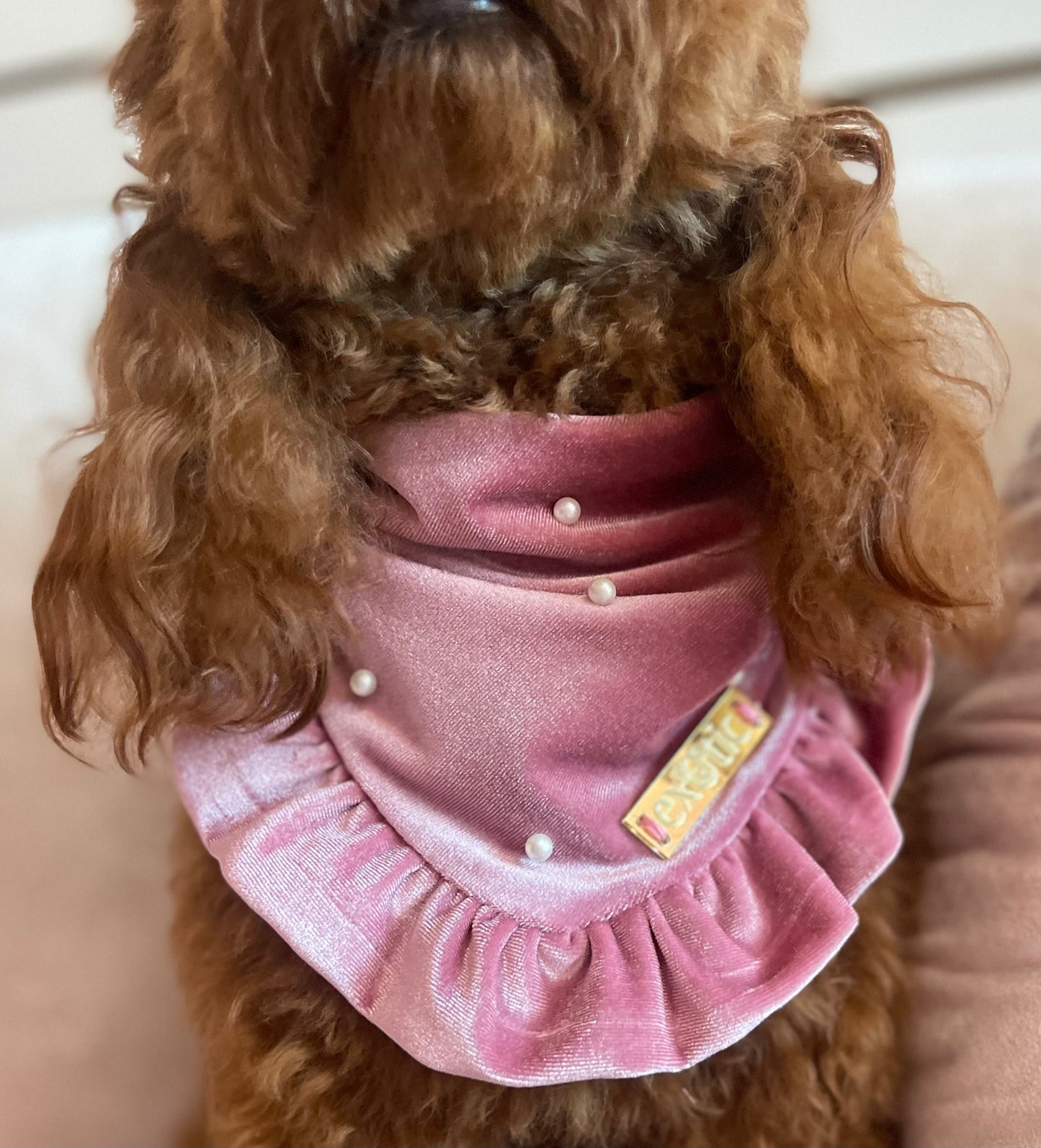Cotton Pink Bandana