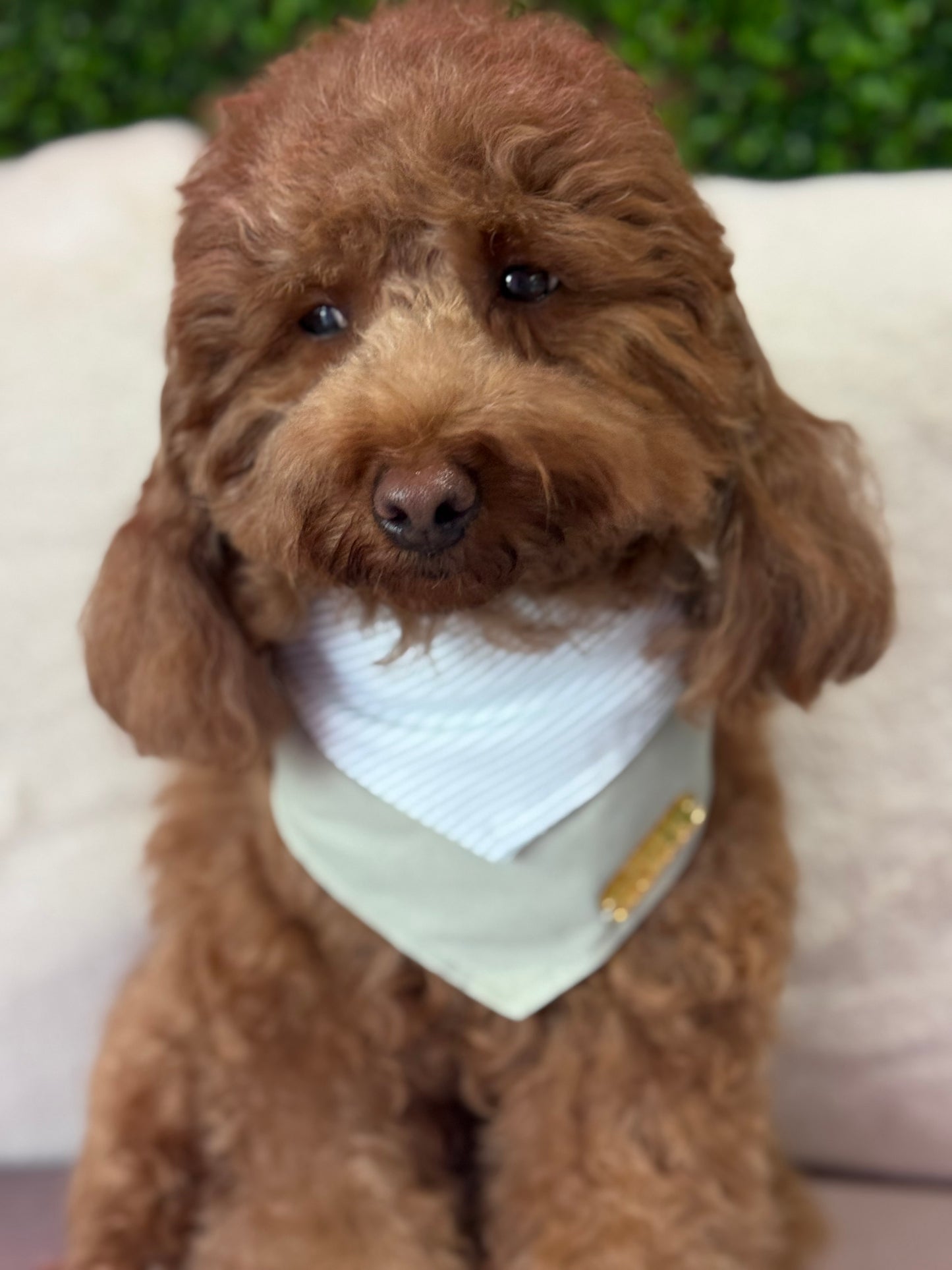 Fern Bandana