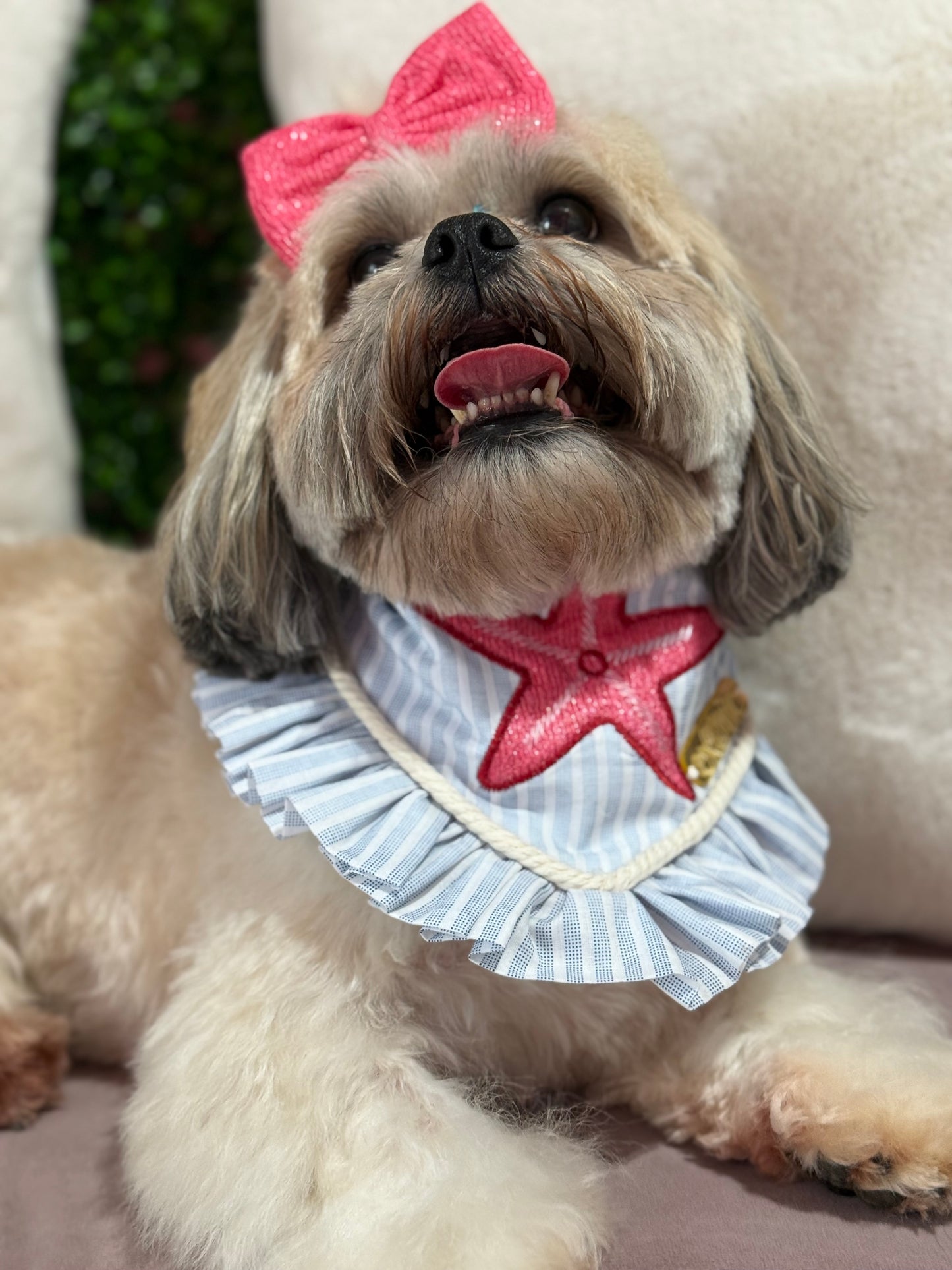 Starfish Bandana with ruffles
