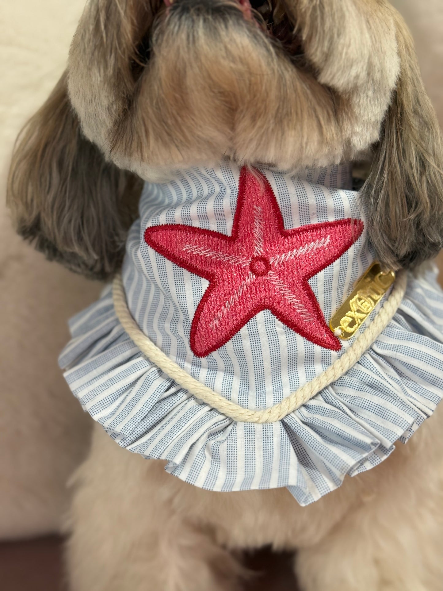 Starfish Bandana with ruffles