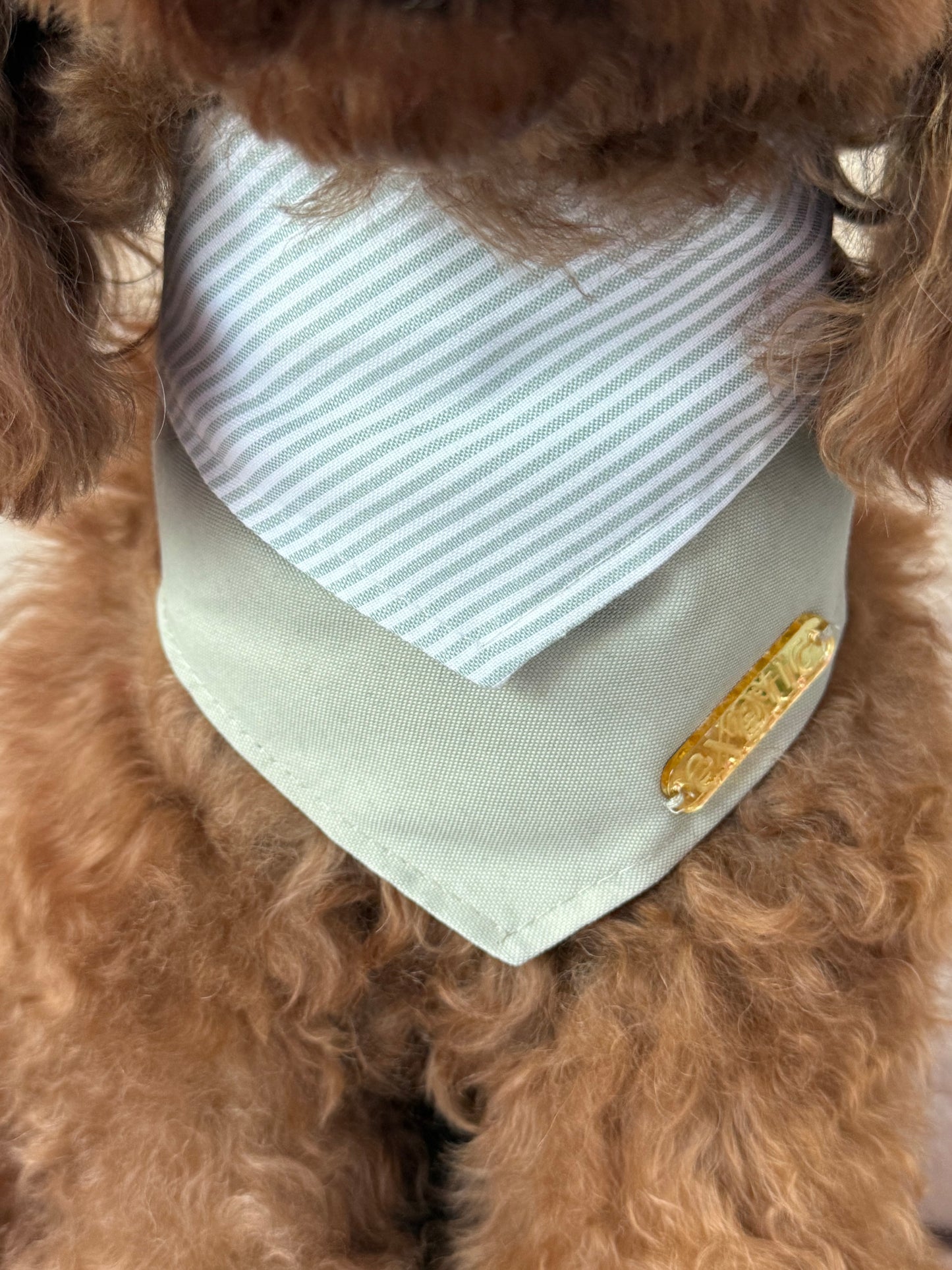 Fern Bandana