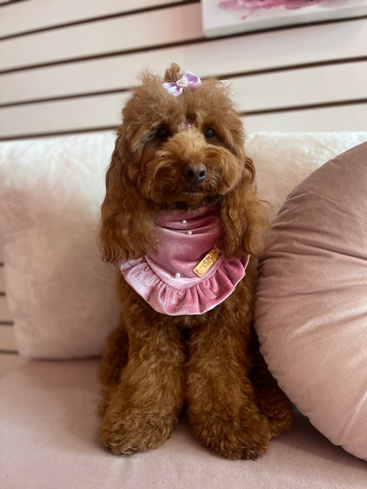 Cotton Pink Bandana