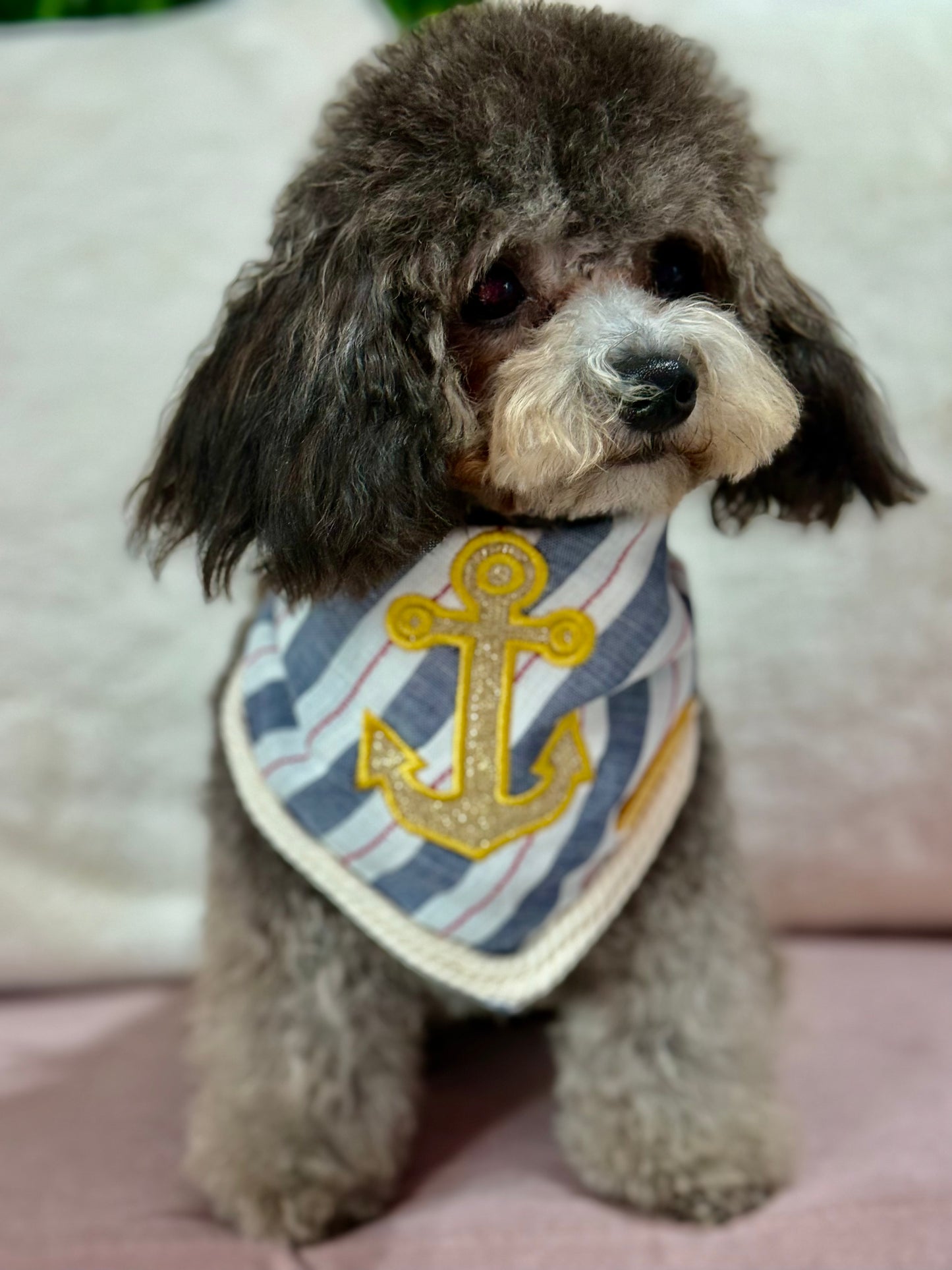 Golden Anchor Bandana