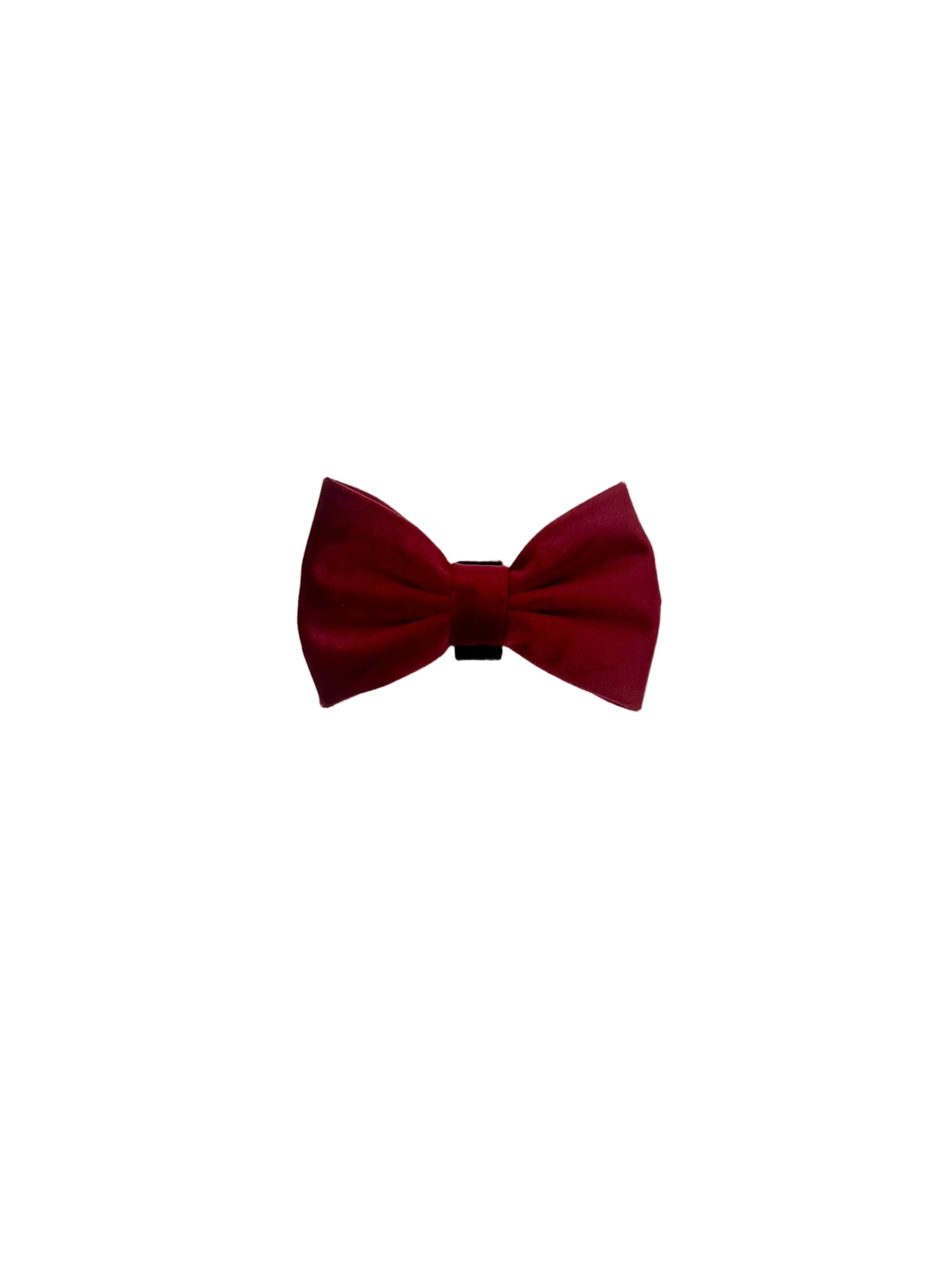 Granate - Regular Bowtie for Collar