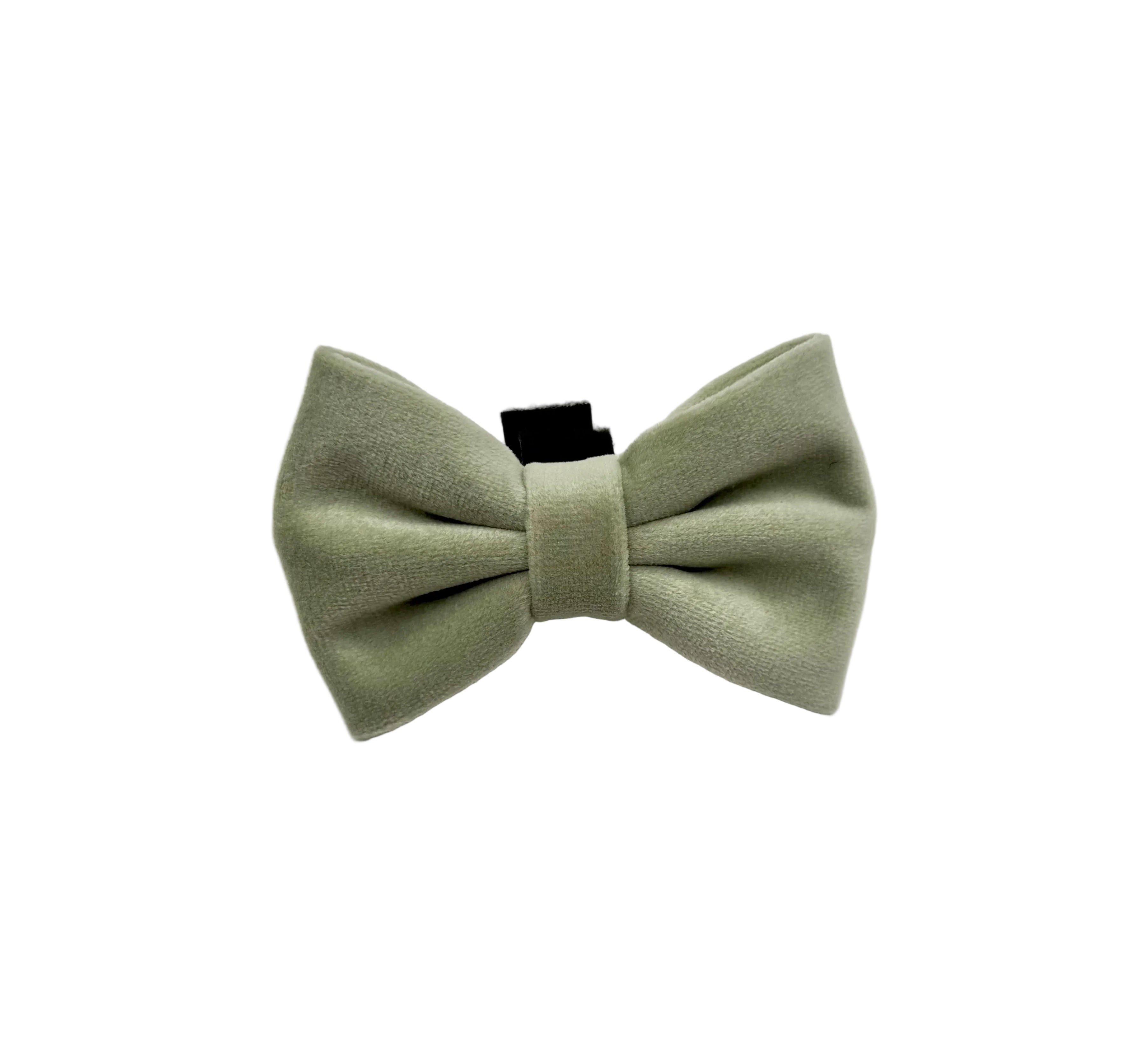 Matcha Luxe - Regular Bowtie