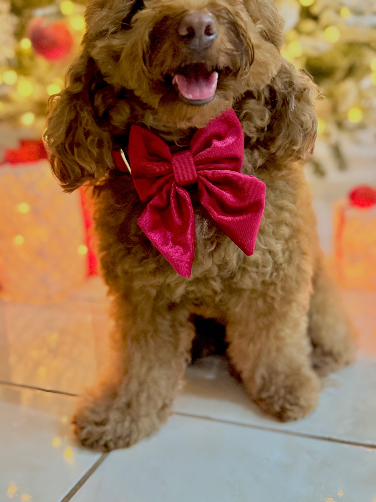 Ruby Red Velvet - Sailor Bowtie