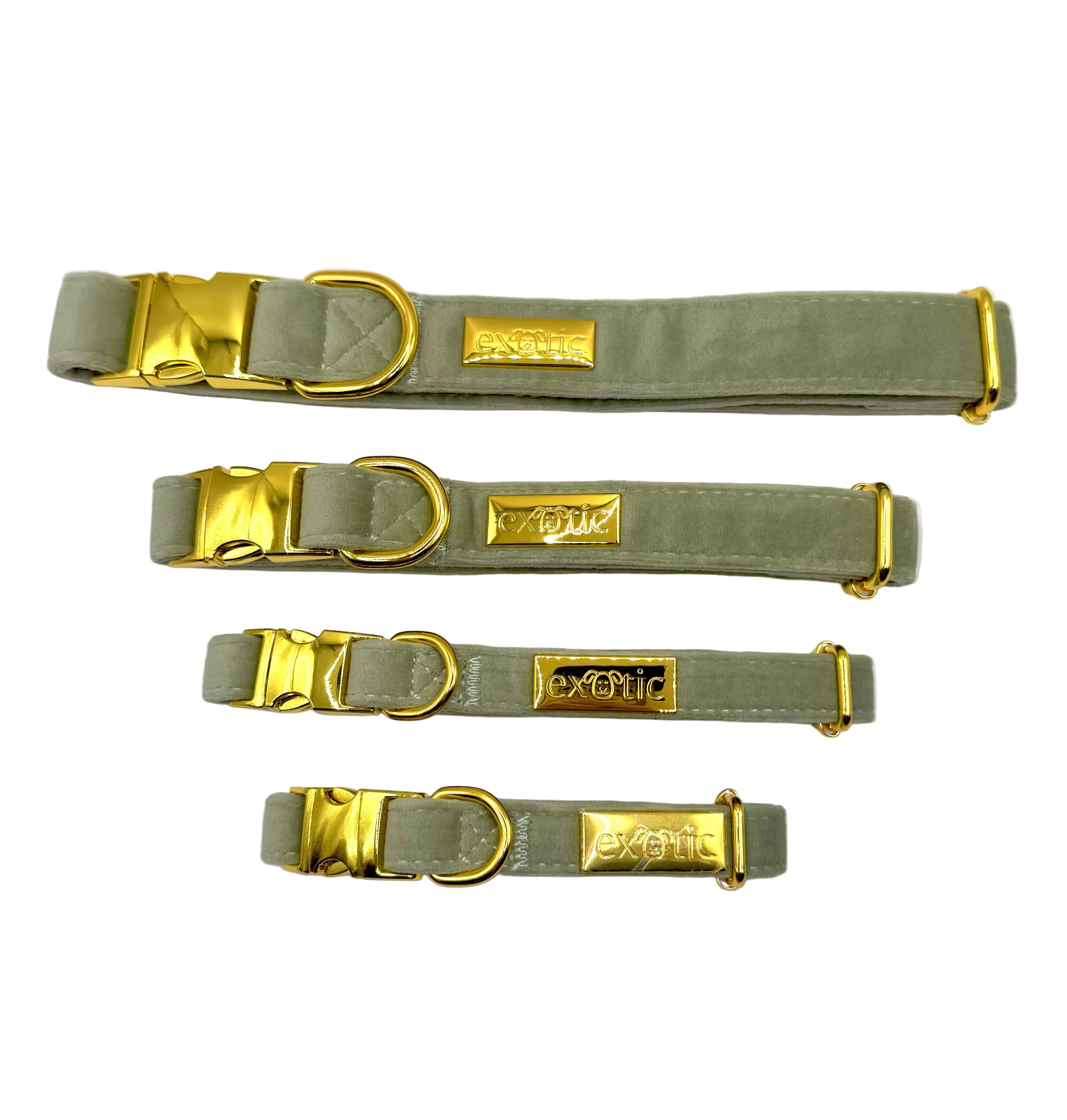 Matcha Luxe - Dog Collar