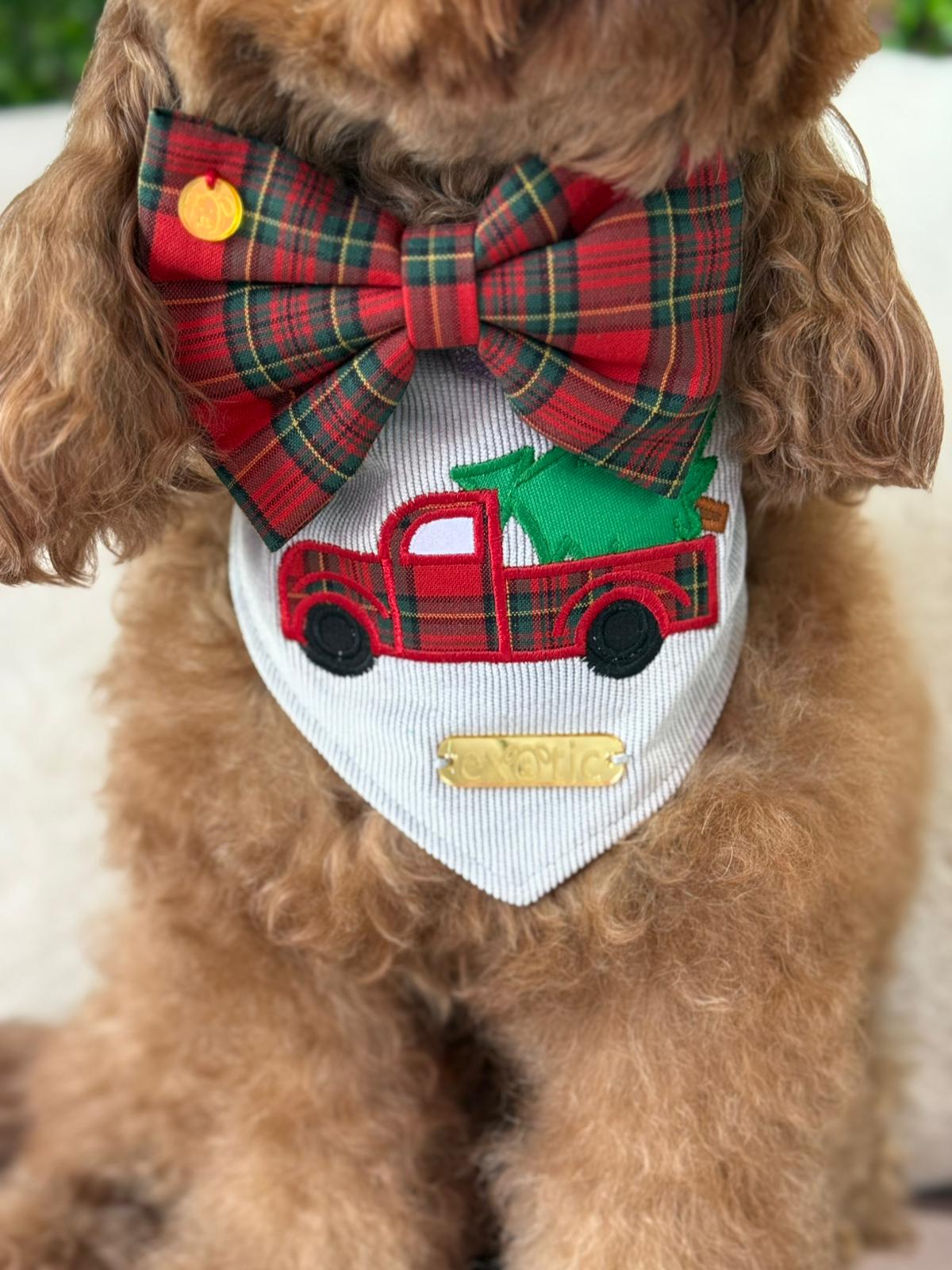 Clásico Bandana