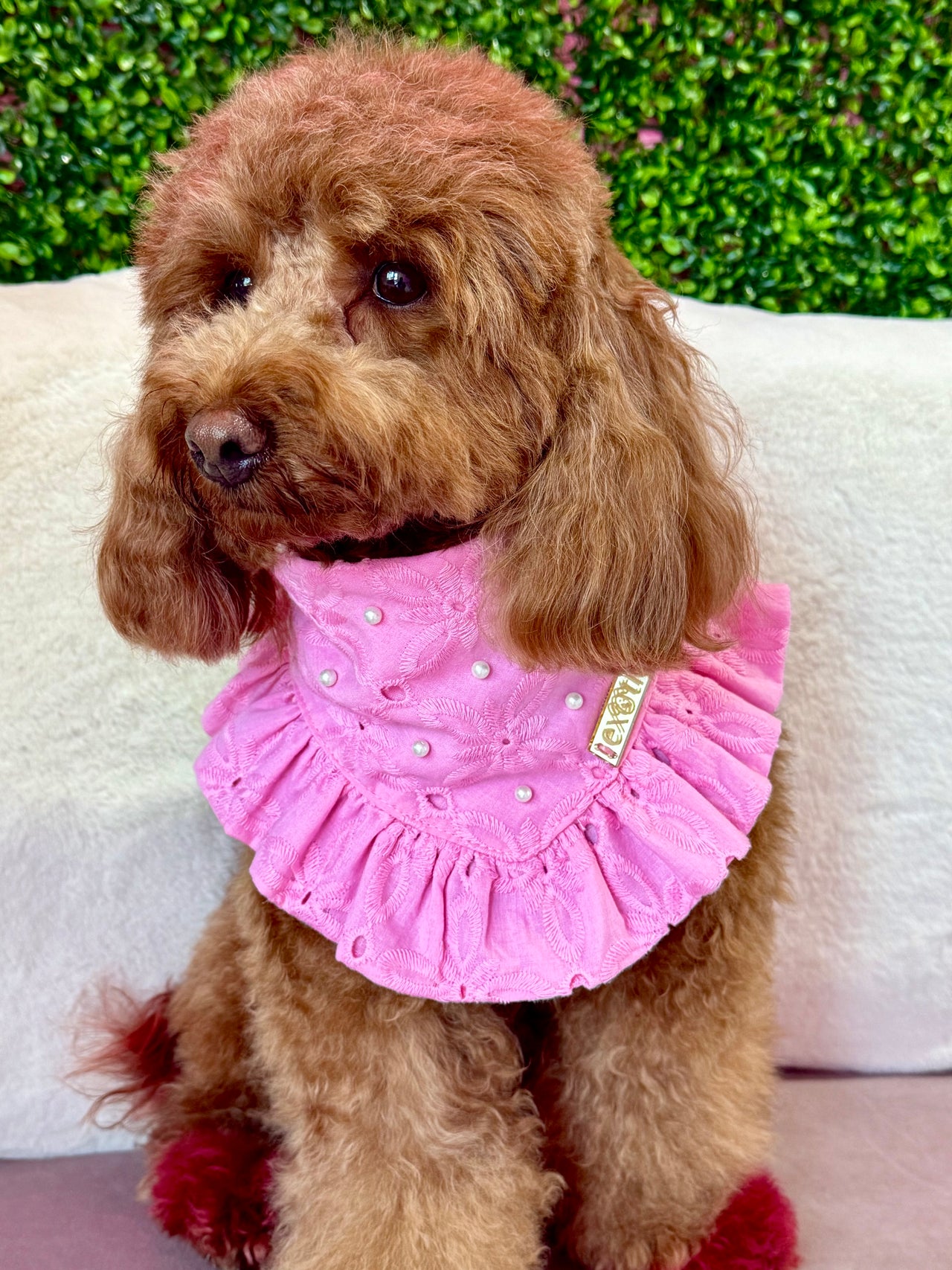 Lady Rose - Dog Bandana