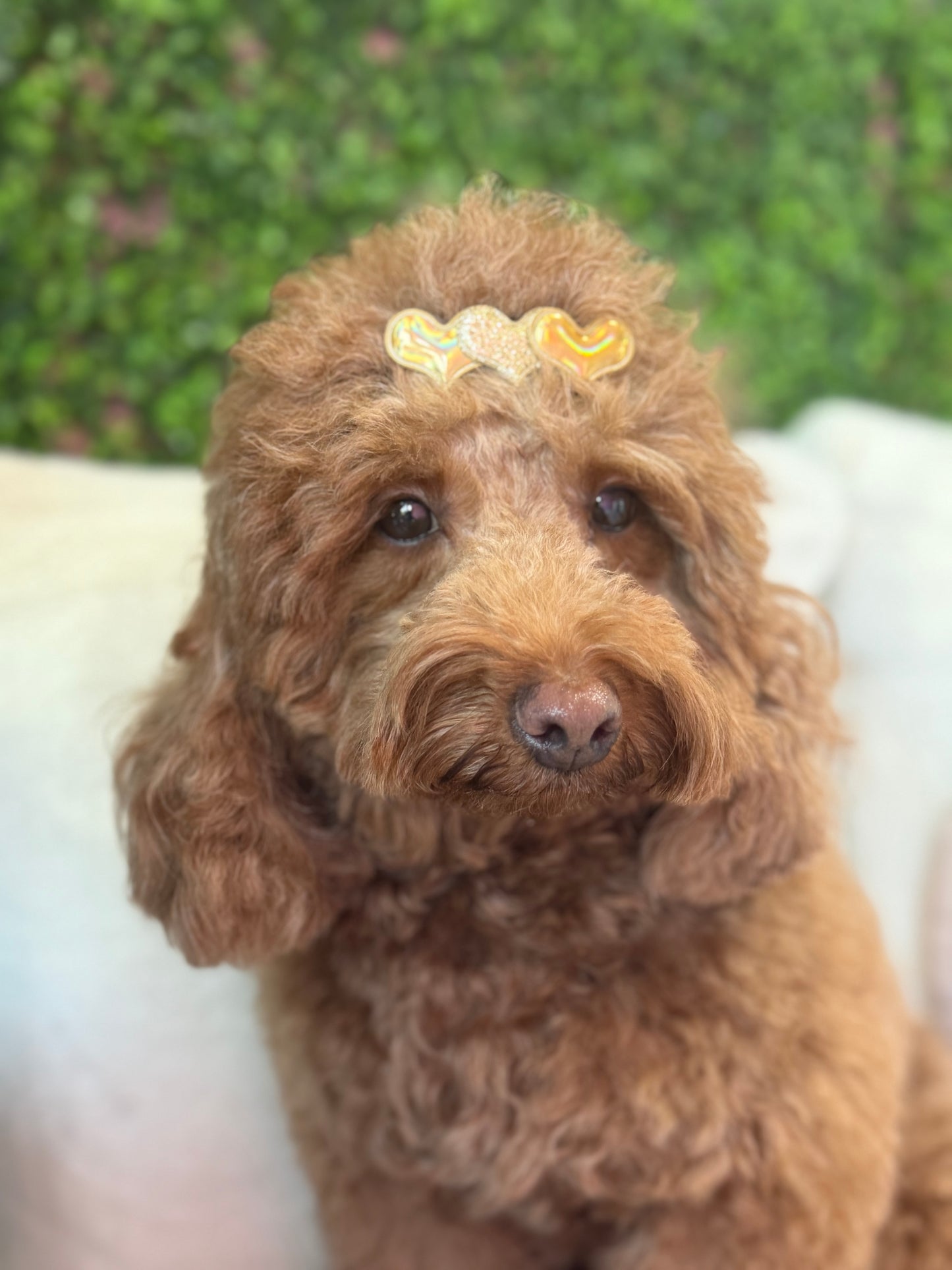 Love Hair Bow