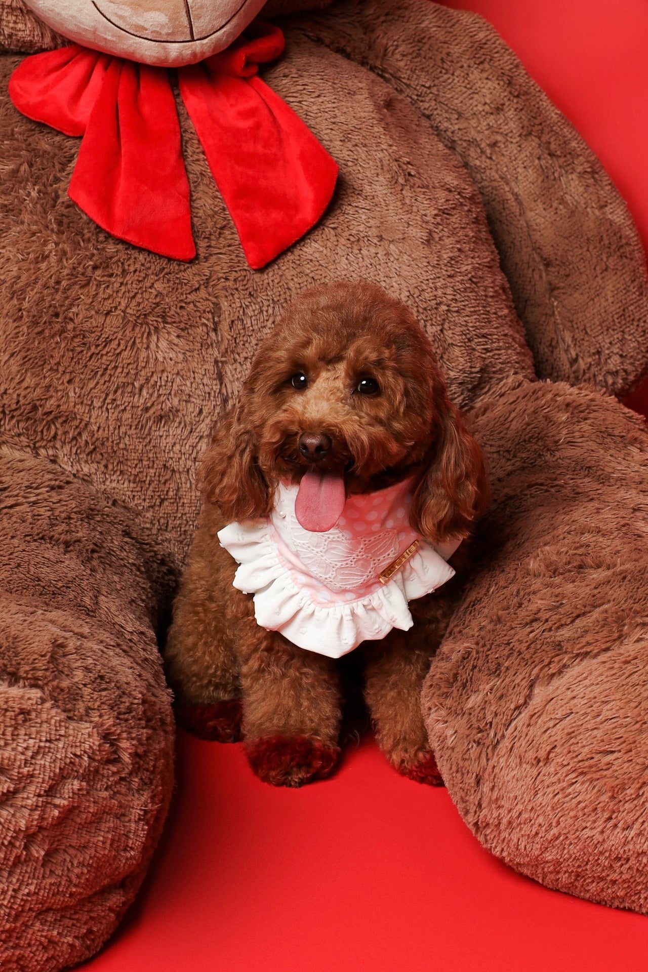 Pink Polkadot Bandana