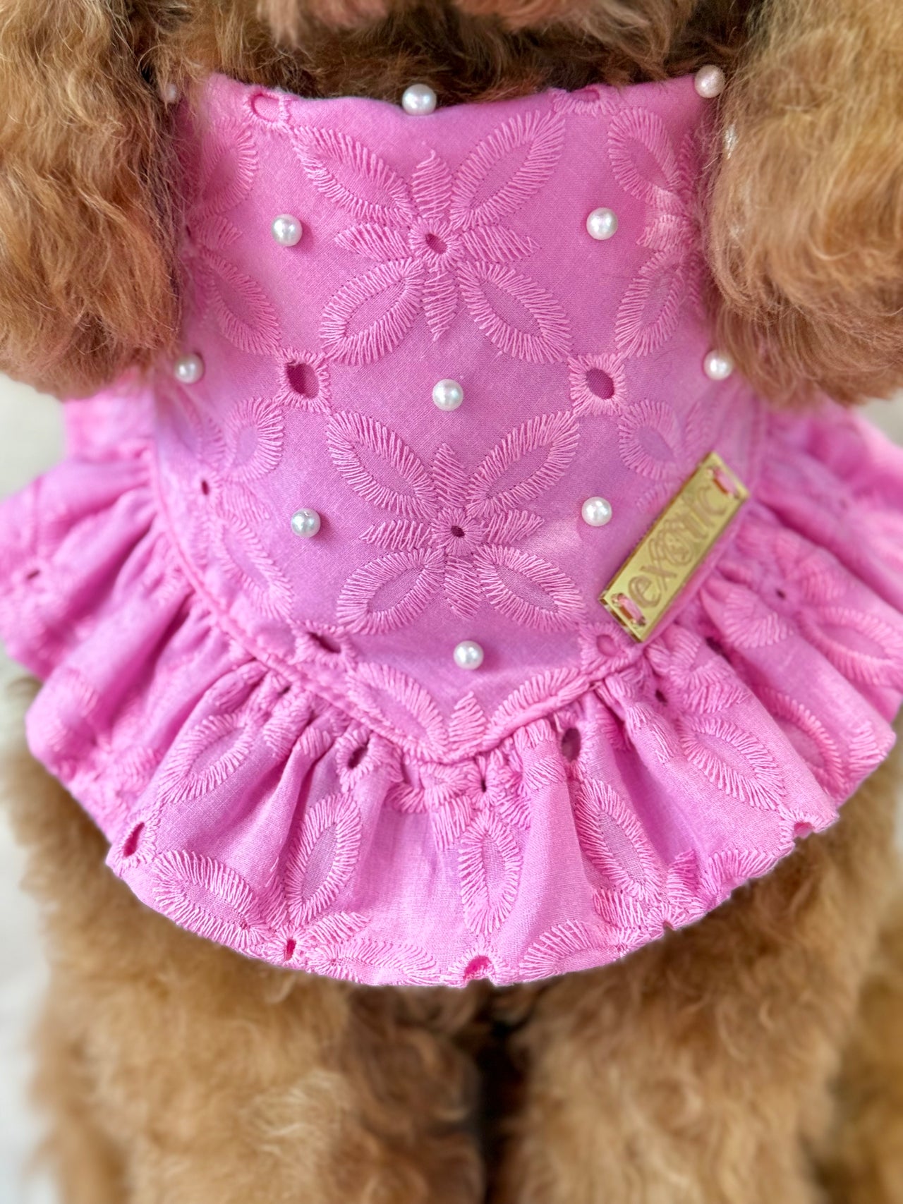 Lady Rose - Dog Bandana