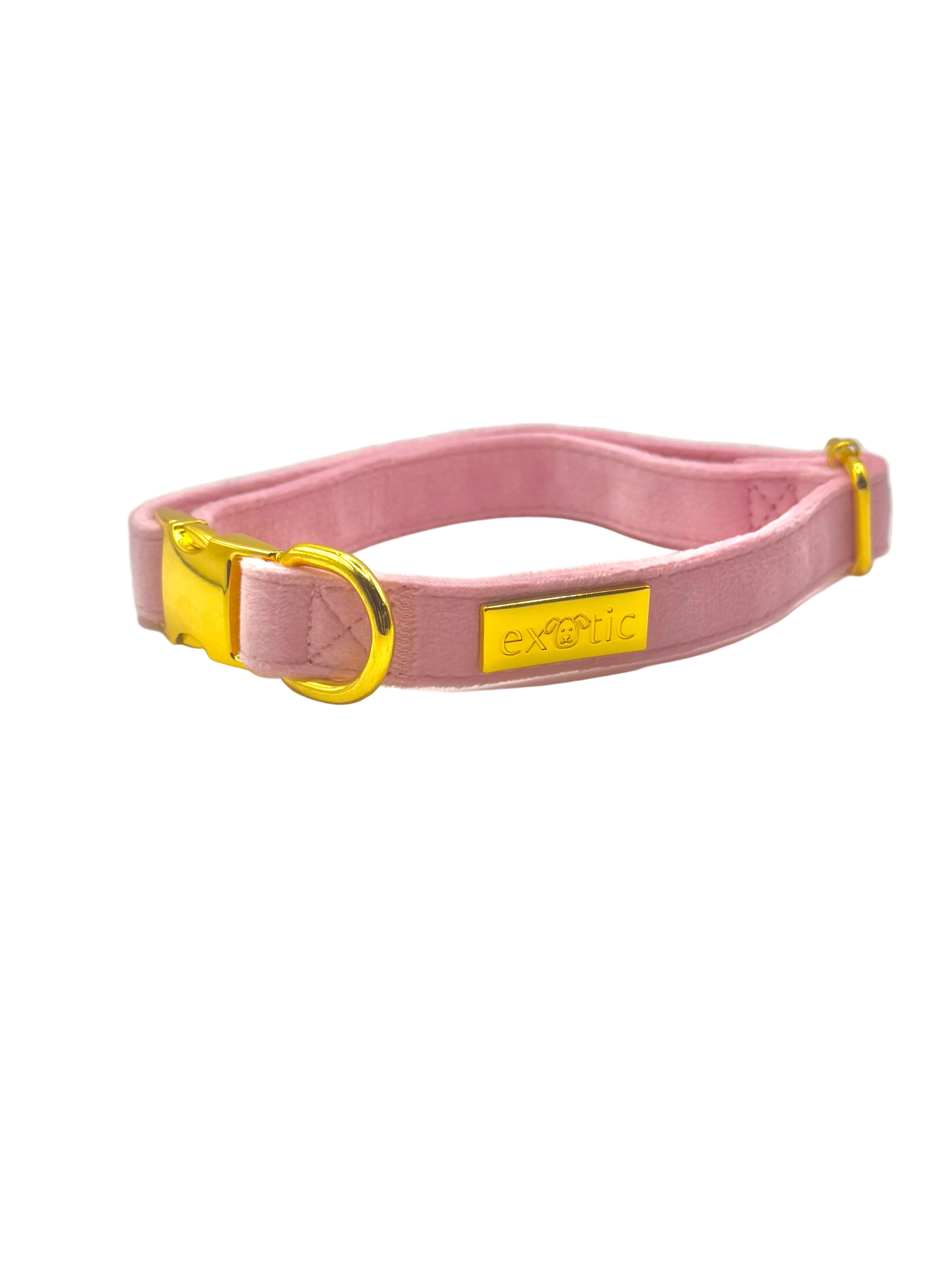 Sprinkle Rose - Dog Collar