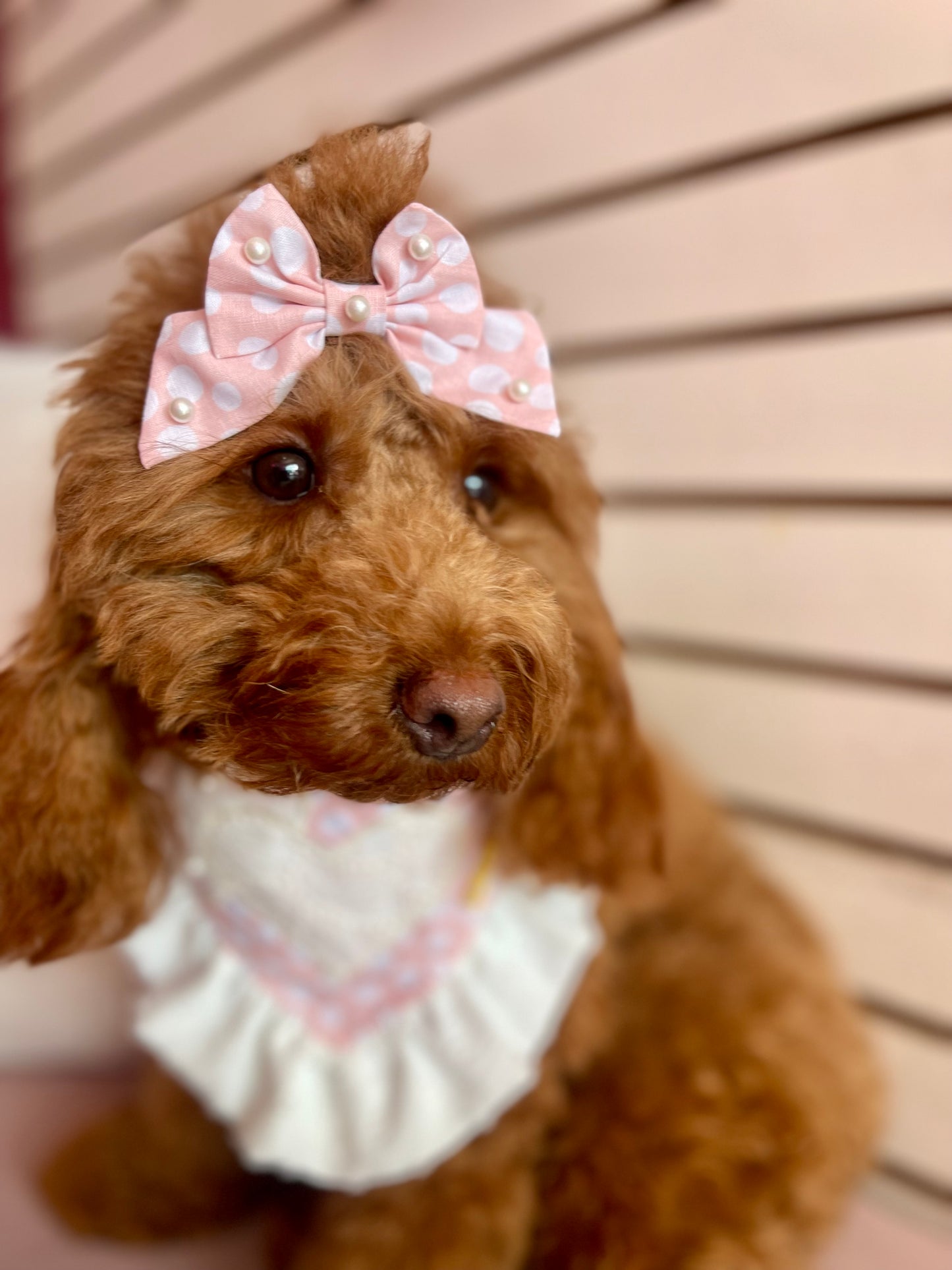 Pink Polkadot Bow