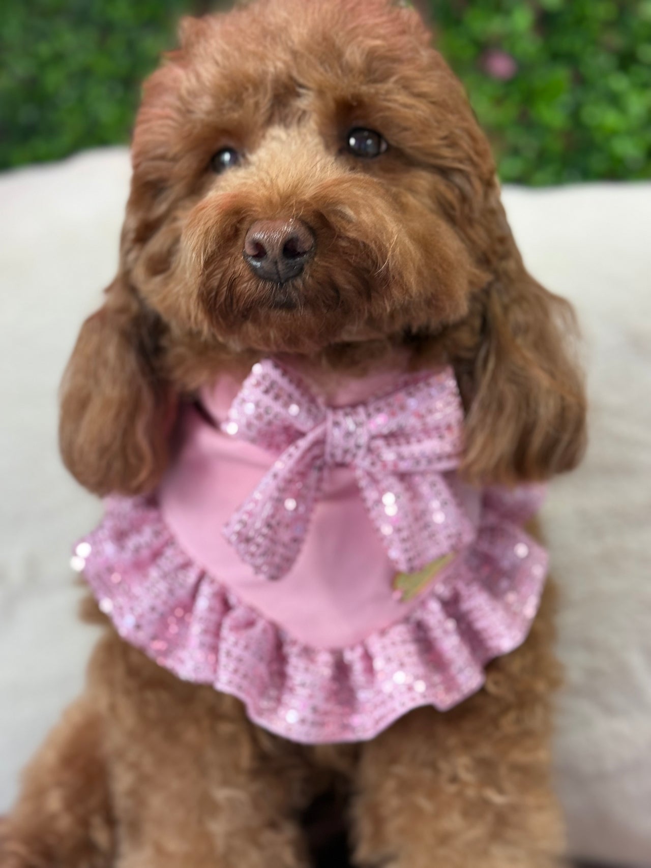 Spring Candy Bandana