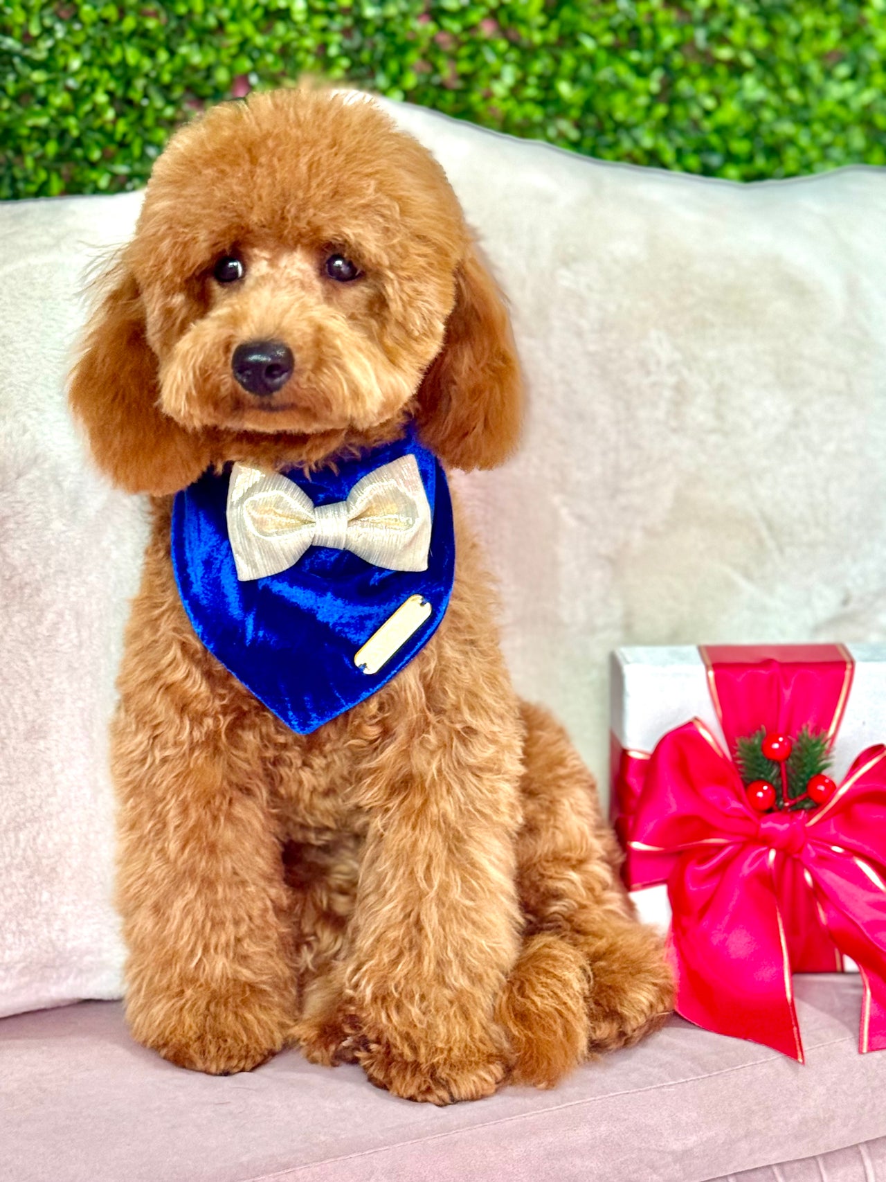 Royal Holiday Bandana