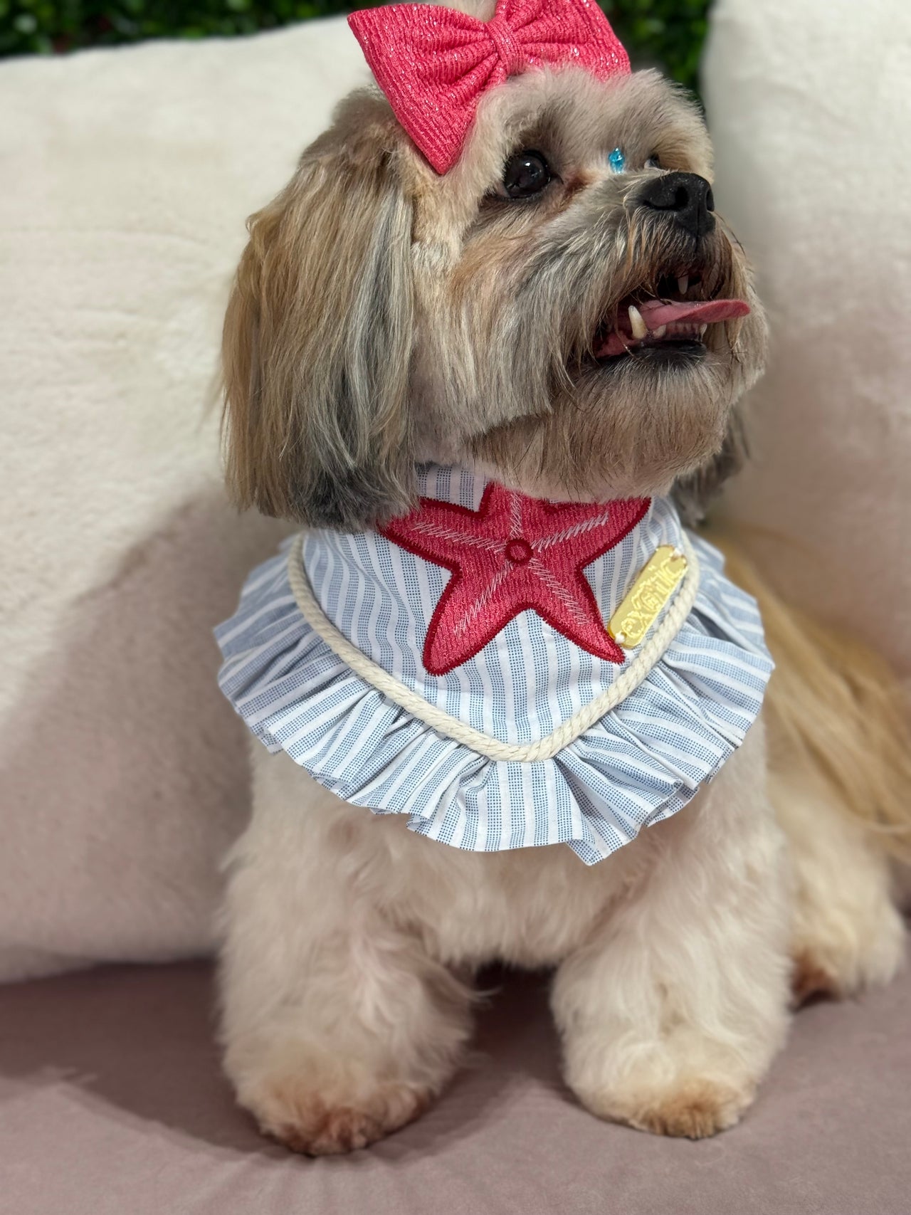 Starfish Bandana with ruffles