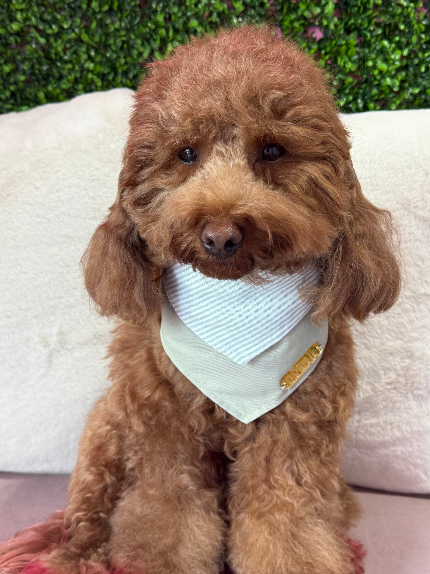 Fern Bandana
