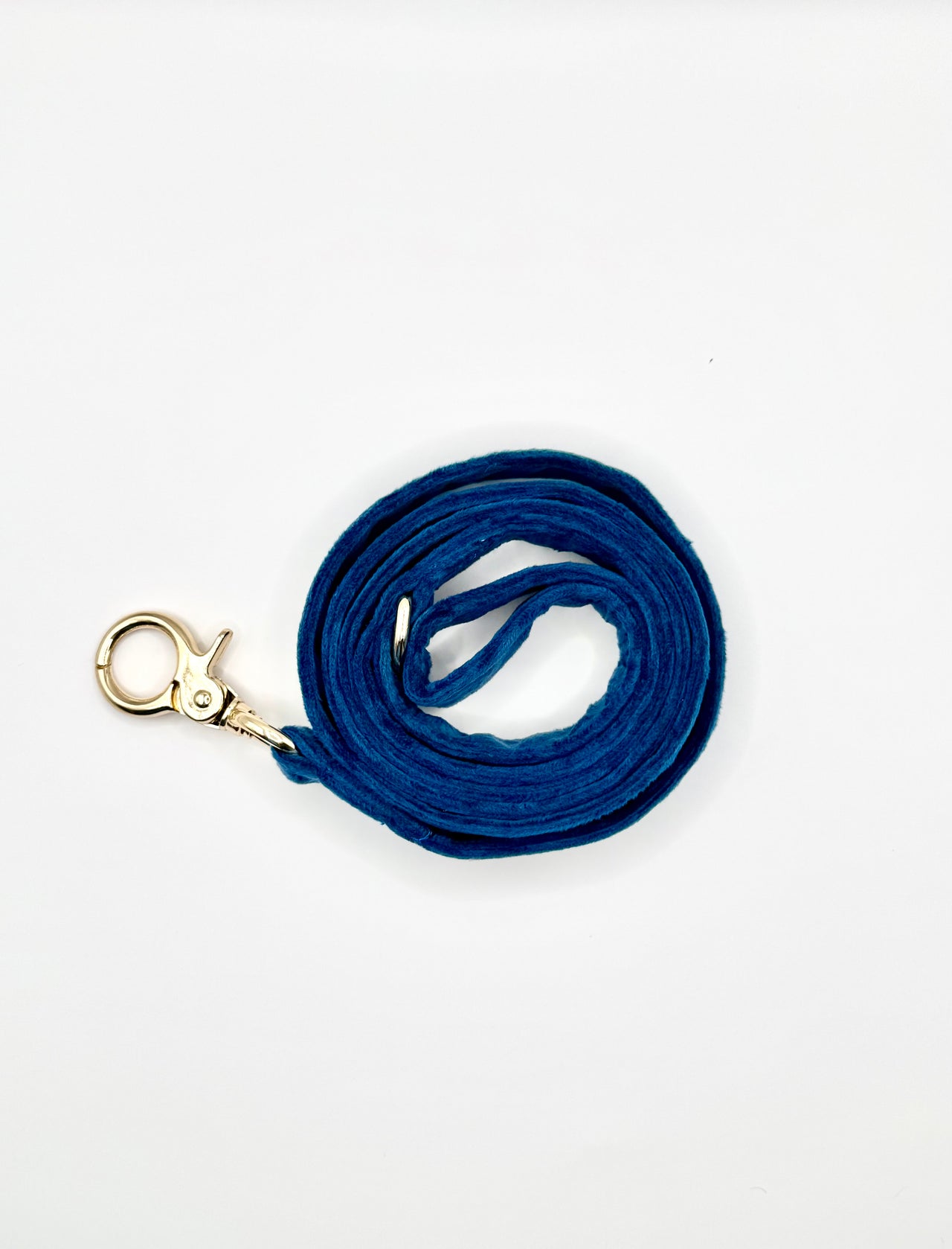 Blue Velvet - Dog Leash