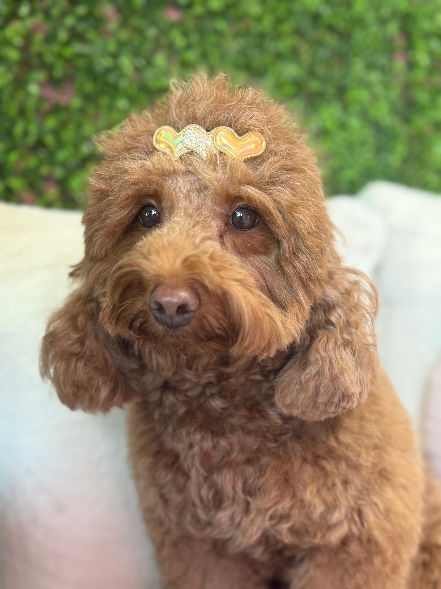 Love Hair Bow