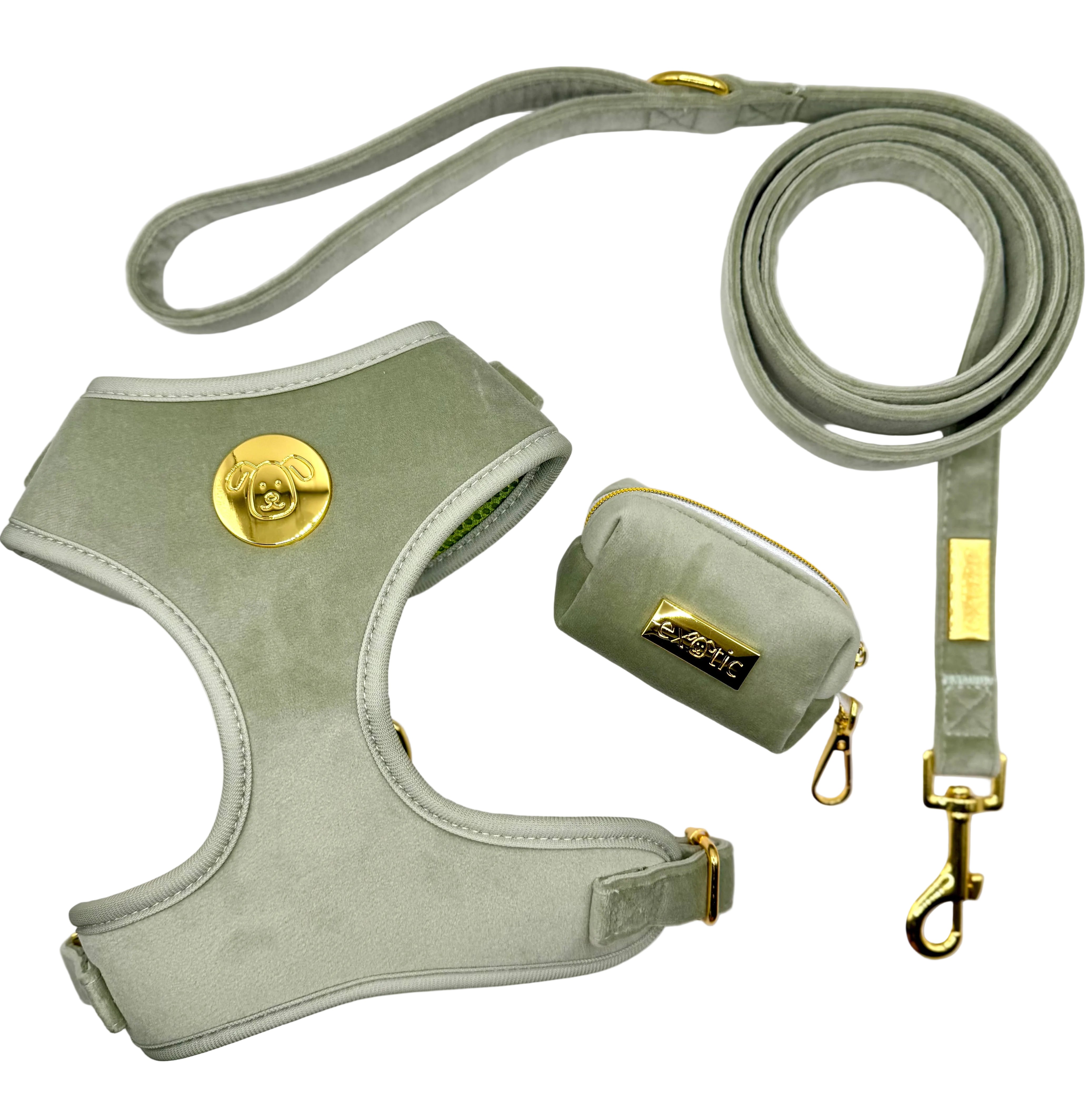 Matcha Luxe - Walking Bundle