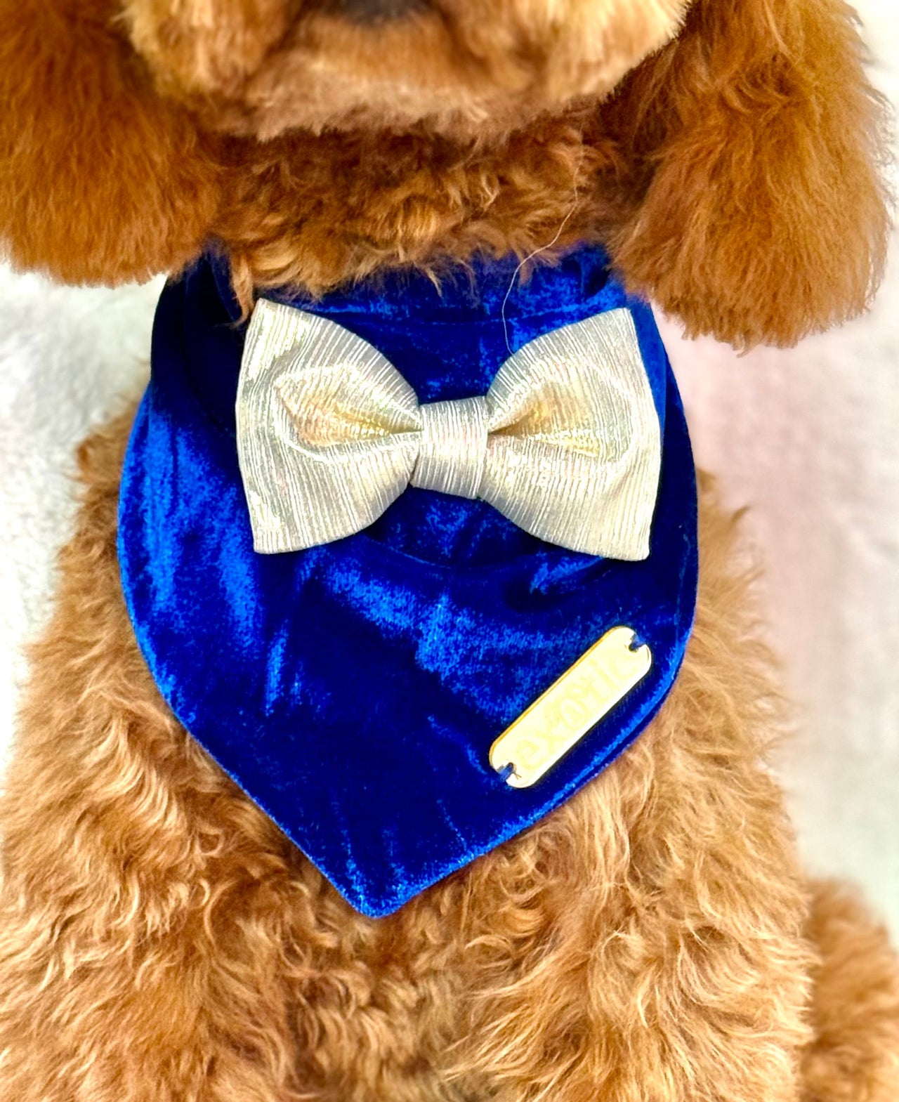 Royal Holiday Bandana