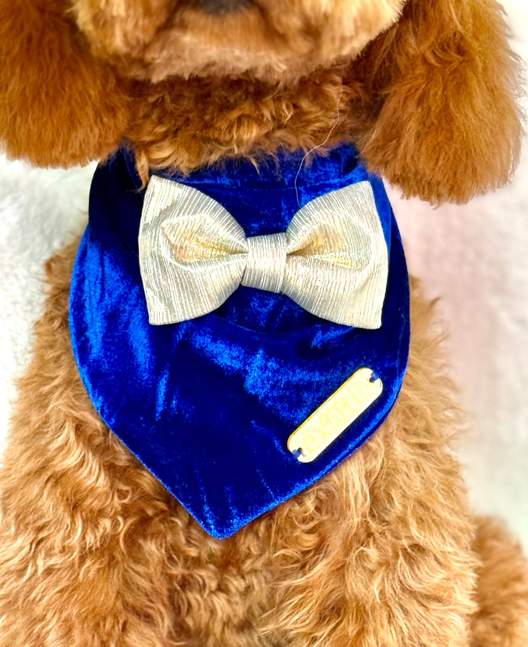 Royal Holiday Bandana