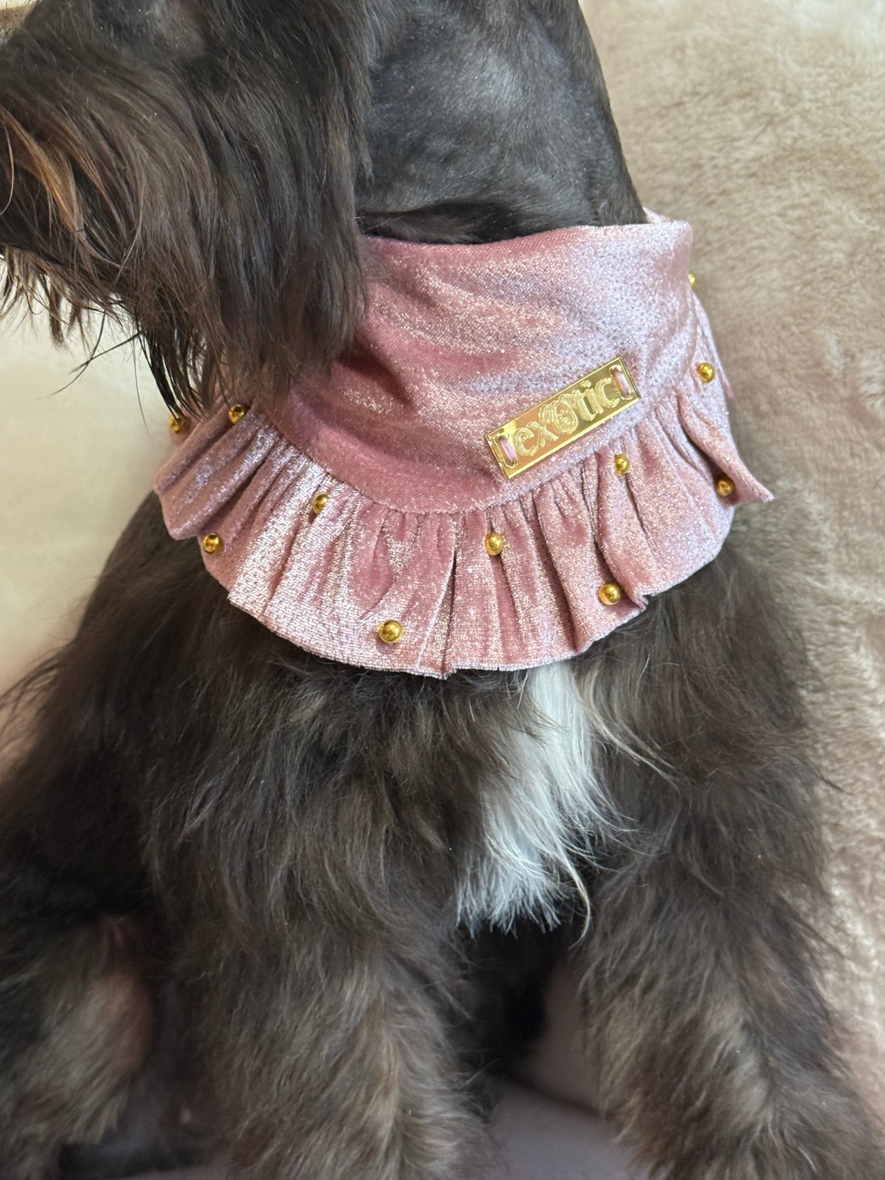 Sweet Pink Bandana