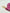 Fuschia Velvet - Dog Leash