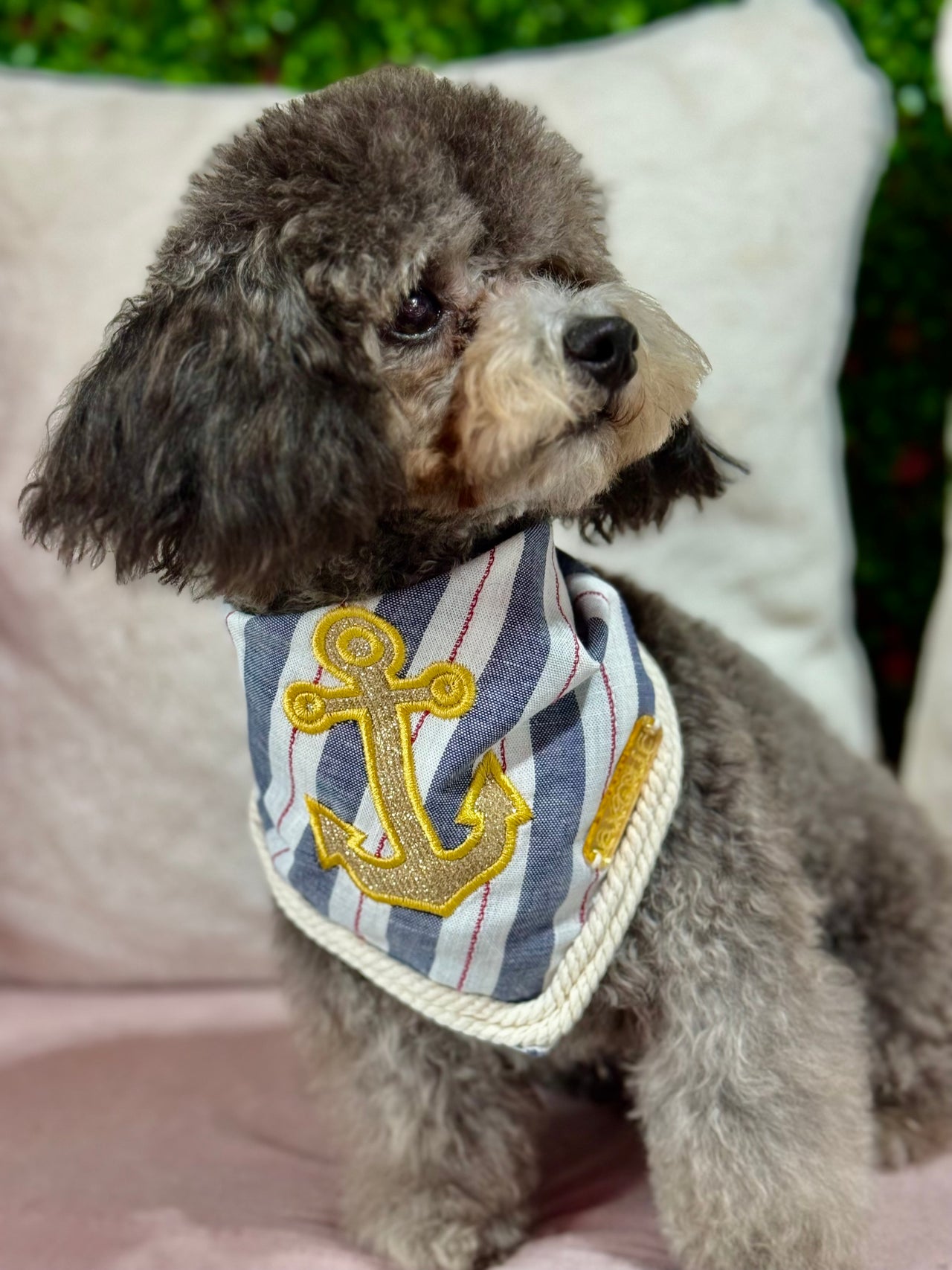 Golden Anchor Bandana