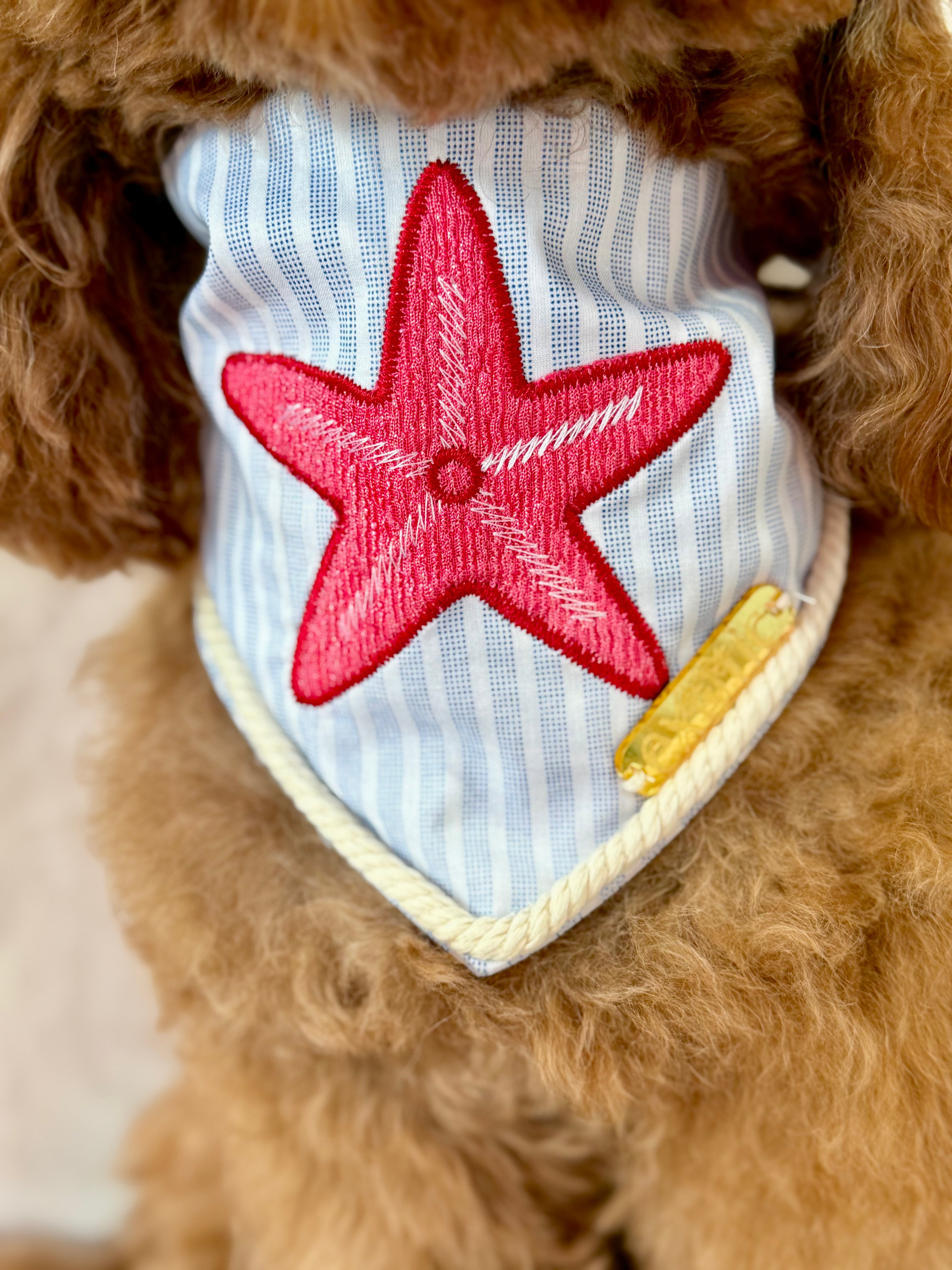 Starfish Bandana