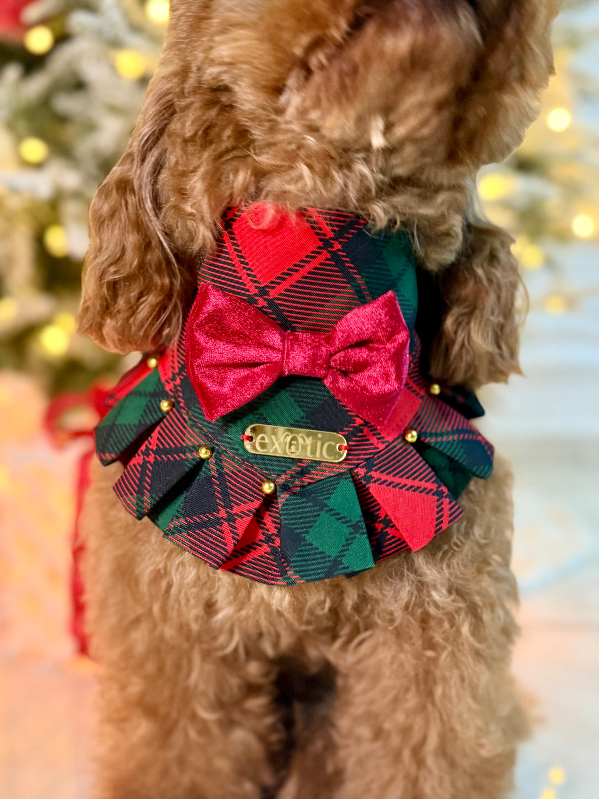 <p>Christmas It’s here&nbsp;</p>